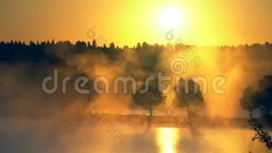 早晨的雾在一个宁静的湖面上，在朝阳的<strong>金色光</strong>芒中